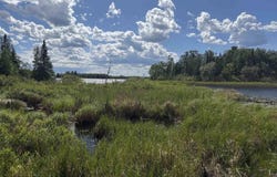 5291 Setterlund Dr, Cotton, MN 55724