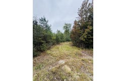Fisk Road, Dorchester, SC 29437