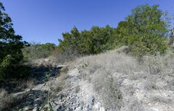 11304 Condor Pass, Helotes, TX 78023