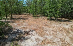 SE 53RD Lane, MORRISTON, FL 32668