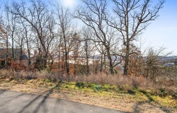 Gregory Lane lot: 6, Branson, MO 65616