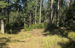3380 W Highway 63, Springbrook, WI 54875