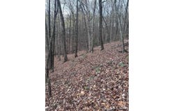 Wilkerson Court, Lake Lure, NC 28746