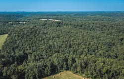 Tract 2 Private Drive, Norwood, MO 65717