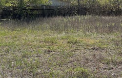 709 Locust St, Bastrop, TX 78602