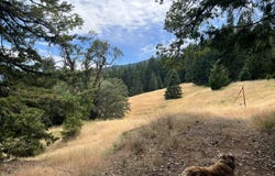 Stapp Road, Kneeland, CA 95549