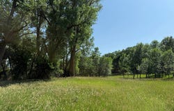 193.04 +/- Acres Gregory County, Fairfax, SD 57335