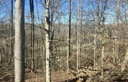 45 Shepperd Drive, Nancy, KY 42544
