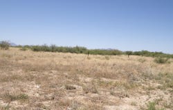 S CASAS LINDAS Drive, Willcox, AZ 85643
