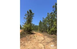Highway 168, Century, FL 32535