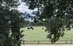E Alma Ln (4 Acre), Pima, AZ 85543