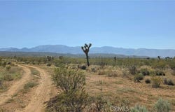 173rd E W-12, Llano, CA 93544