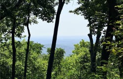 147 Raptor Way, Landrum, SC 29356