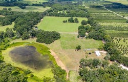 16450 SE 67th Pl, Morriston, FL 32668