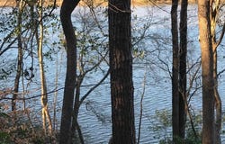 Oakridge Trail, Eufaula, AL 36027