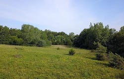 2700 Halliburton Street, Kirksville, MO 63501