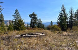 TRACT 2 COWBOYS AND ANGELS AVE, KETTLE FALLS, WA 99141