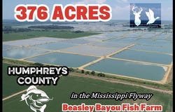 730 Hoke Road - Isola - Humphreys County, MS 38754