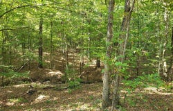 1294 Anders Rd, San Augustine, TX 75972
