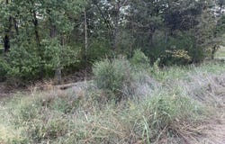 20 Dollar Lane, Lampe, MO 65681