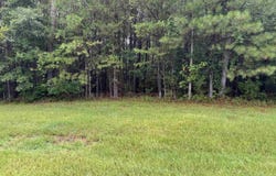 3.1+/- Brushy Creek Pointe, Arley, AL 35541