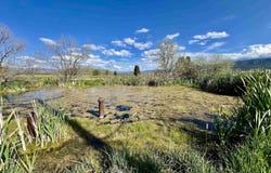 1691 Corder Circle, Soda Springs, ID 83276-5416