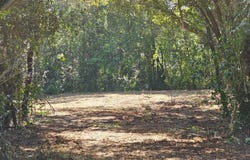 860 Lewis Road, Sumter, SC 29154