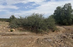 S Pima Dr, Safford, AZ 85546