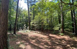 27202 PINE RIDGE DR, MELFA, VA 23410