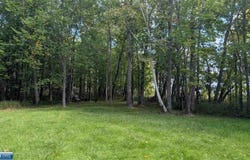 Everett Bay Rd, Tower, MN 55790
