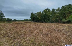 Rogers Drive, Lake View, SC 29563