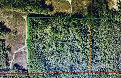 Gulfcrest Road, Chunchula, AL 36521