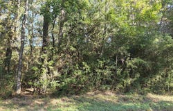 228 Co Rd 746, Buna, TX 77612