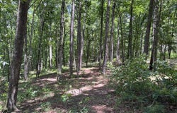 PULLMAN LANE lot: 1 & 2, Greensboro, GA 30642