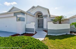 1018 Castille Drive, Spring Hill, FL 34608