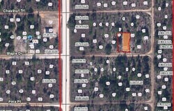 MAPLE Drive, INTERLACHEN, FL 32148