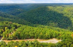 335 Mockingbird Lane, Wilder, TN 38589