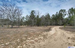 Ozelma Drive, Dillon, SC 29536