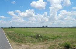2700 Blk Peach Bloom Highway lot: 4, Church Point, LA 70525
