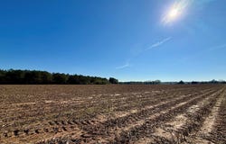 County Rd 238, Headland, AL 36345