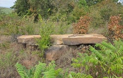 15 Round Mountain Road, Howe, OK 74940