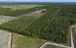 15539 COUNTY RD 305, BUNNELL, FL 32110