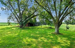 1075 Old State Route 76, HENRY, TN 38231