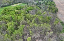 Youngs Road, Conewango Valley, NY 14726