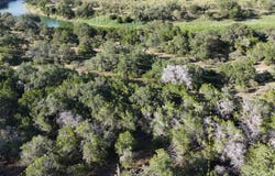 1224 Antelope, Spring Branch, TX 78070