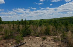 Mt Tabor Road, Keeling, VA 24566