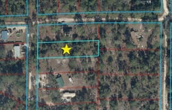 NE 99TH CT lot: 2, BRONSON, FL 32621