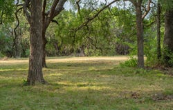 5021 Little Valley Rd, Leander, TX 78641