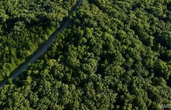 State Hwy J, Chamois, MO 65061
