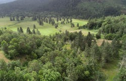 Cow Creek Road, Riddle, OR 97469